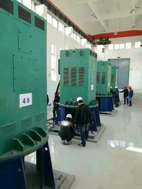 澄城某污水处理厂使用我厂的立式高压电机安装现场